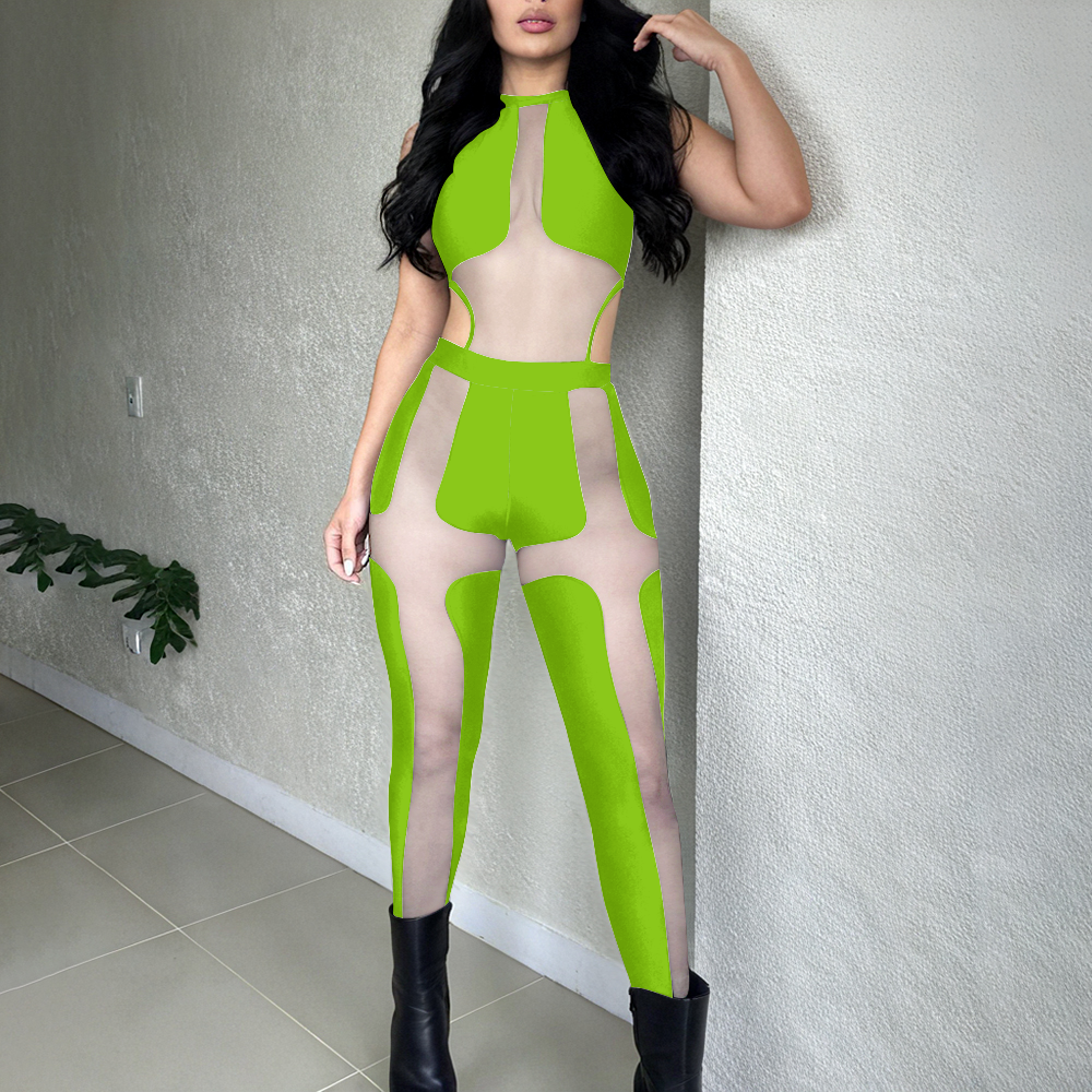 Sleeveless Mesh Sheer Paneled Bodycon Jumpsuit