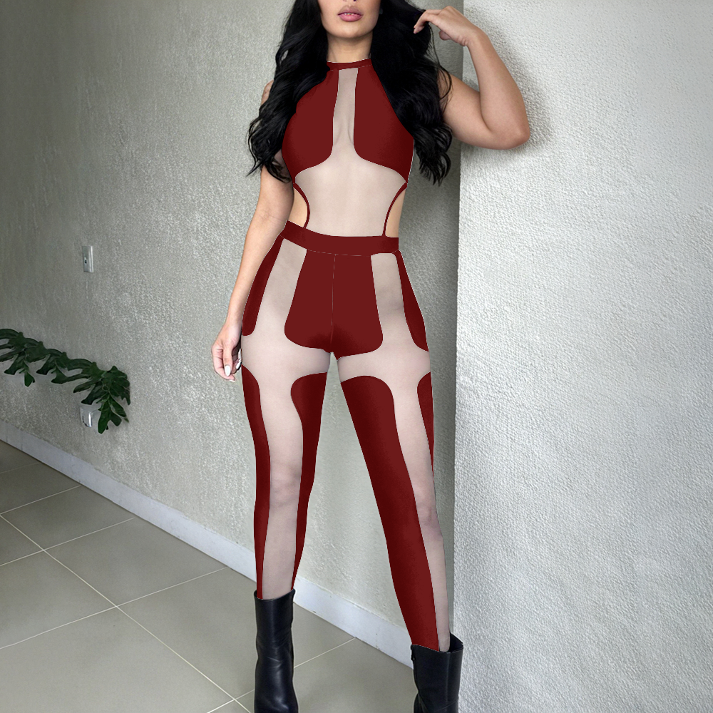 Sleeveless Mesh Sheer Paneled Bodycon Jumpsuit